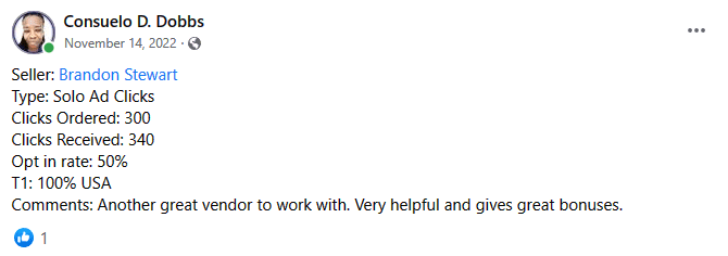 Solo ads testimonial 11
