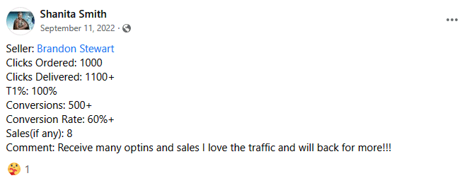 Solo ads testimonial 9